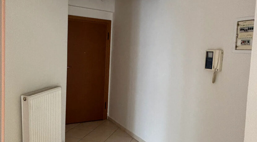 000215463__49526
