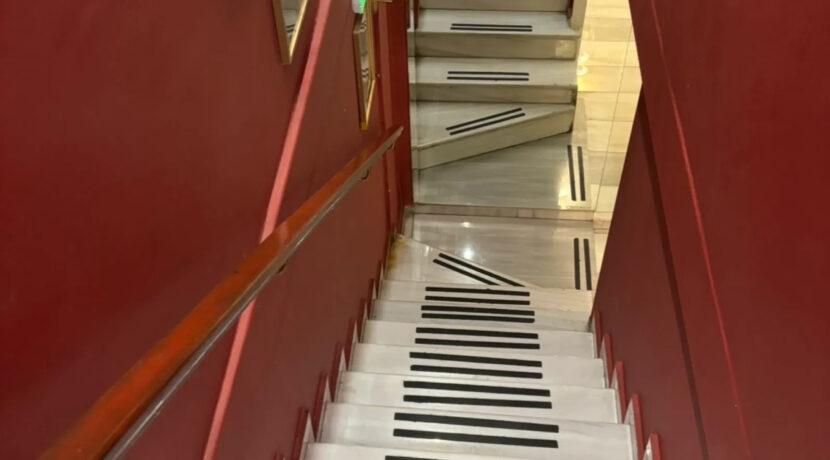 000216784__35935