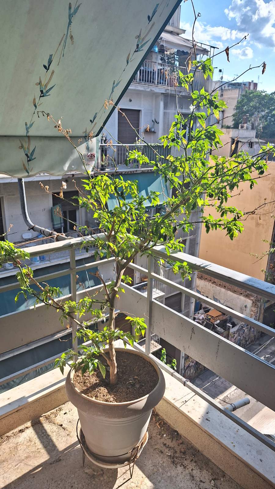 ΚΑΤΟΙΚΙΑ προς Πώληση ΜΕΤΑΞΟΥΡΓΕΙΟ,100000€,70τ.μ.