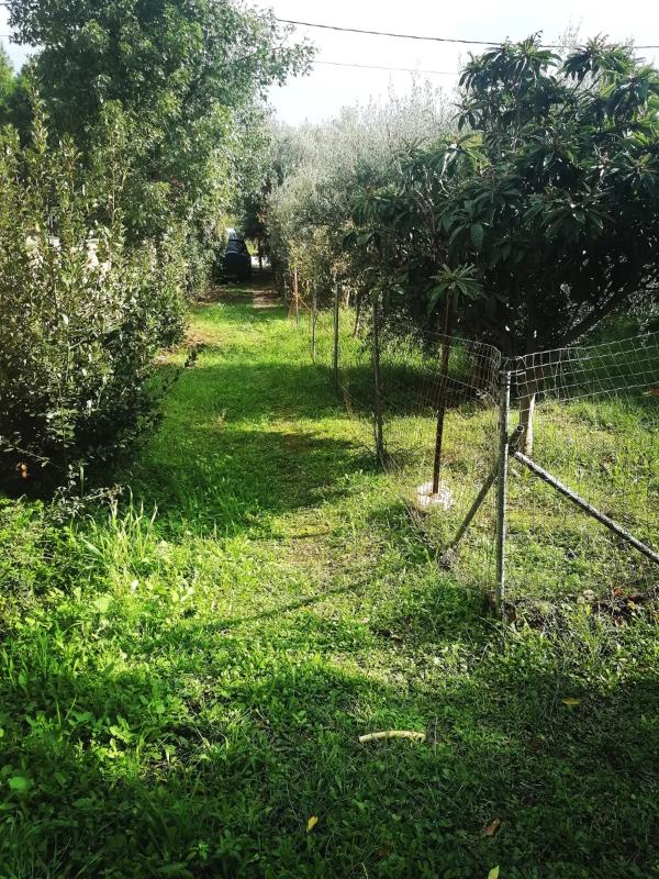 ΟΙΚΟΠΕΔΟ για Πώληση ΠΕΝΤΕΛΗ,200000€, 500τ.μ.