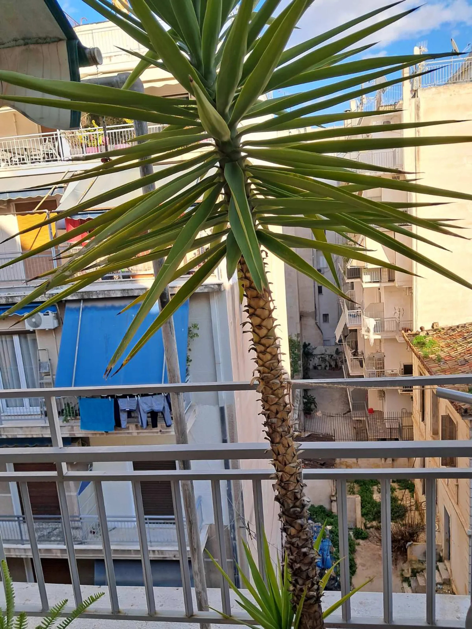 ΚΑΤΟΙΚΙΑ προς Πώληση ΠΛΑΤΕΙΑ ΑΤΤΙΚΗΣ,92000€,48τ.μ.