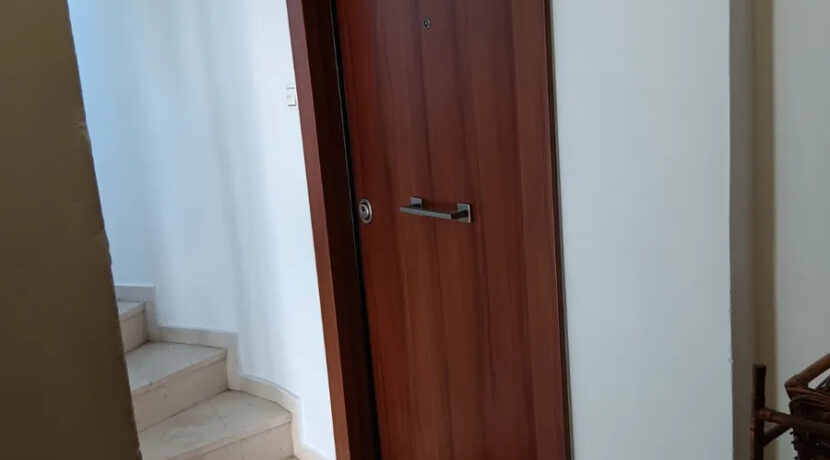000224123__50633