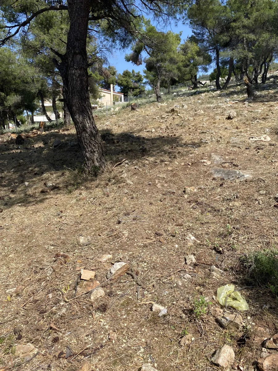 ΟΙΚΟΠΕΔΟ για Πώληση ΔΙΟΝΥΣΟΣ,320000€, 900τ.μ.