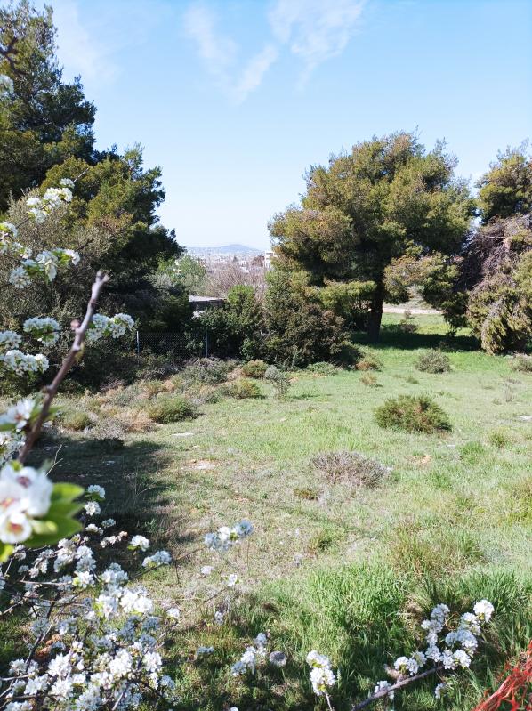 ΟΙΚΟΠΕΔΟ για Πώληση ΧΑΛΑΝΔΡΙ,300000€, 278τ.μ.