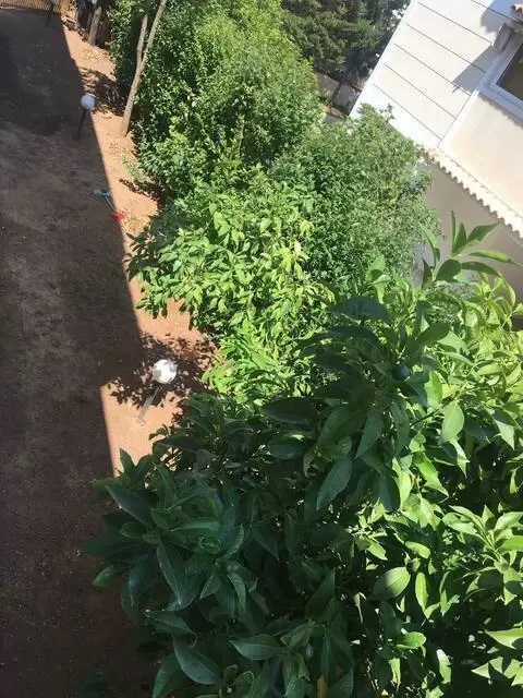 ΚΑΤΟΙΚΙΑ προς Ενοικίαση ΜΕΛΙΣΣΙΑ,1300€,130τ.μ.