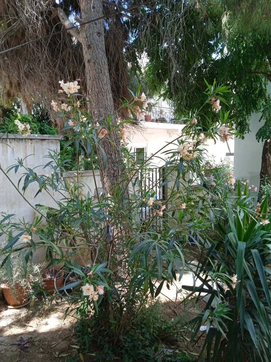 ΚΑΤΟΙΚΙΑ προς Πώληση ΖΩΓΡΑΦΟΥ,100000€,45τ.μ.