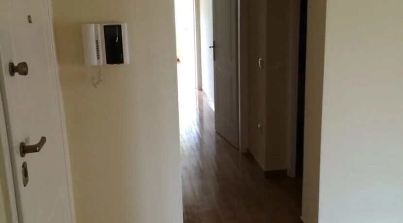 000225641__50801