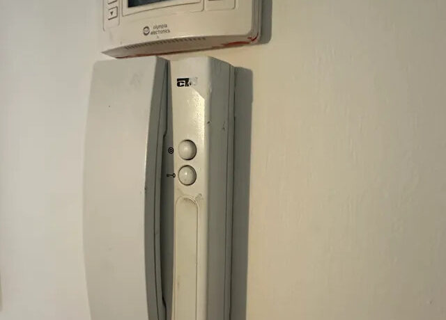 000226169__50855