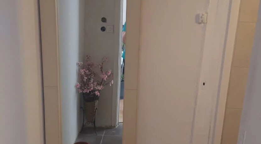 000226254__18619