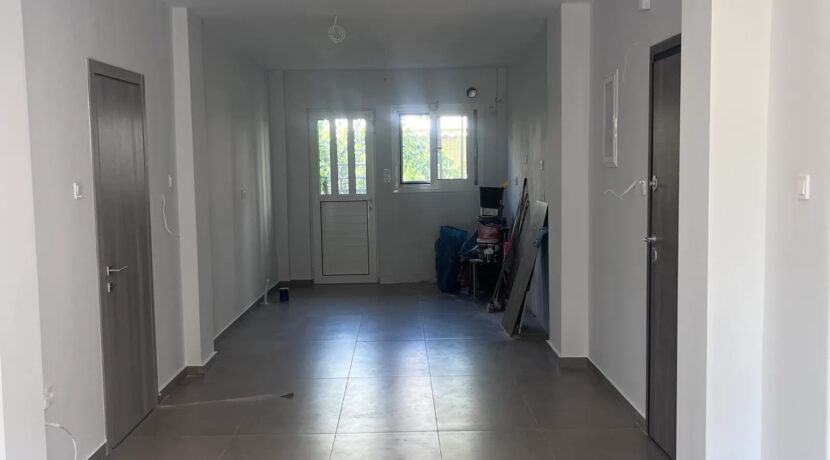 000226317__50868