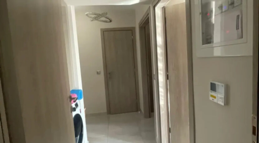 000226741__50910