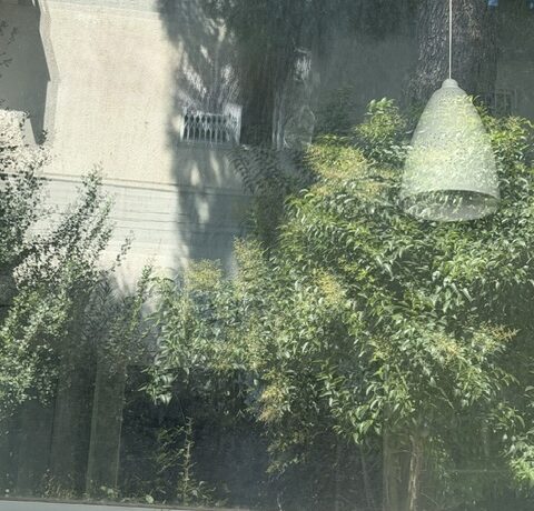 000230135__51242