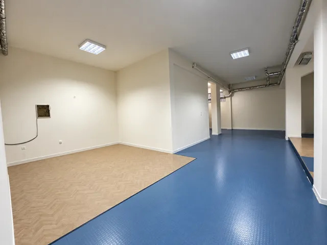 Αίθουσα προς Ενοικίαση ΜΕΤΑΜΟΡΦΩΣΗ,1050€,139τ.μ.